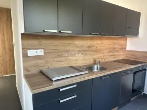 Pronájem bytu 2+1, Chomutov, Mjr. Šulce, 52 m2