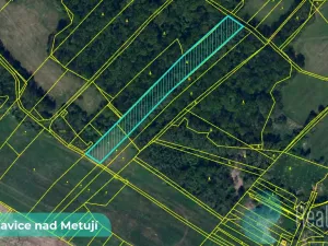 Prodej pole, Bohuslavice, 43749 m2