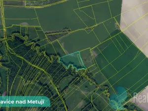 Prodej pole, Bohuslavice, 43749 m2