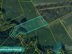 Prodej pole, Bohuslavice, 43749 m2