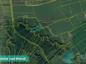 Prodej pole, Bohuslavice, 43749 m2