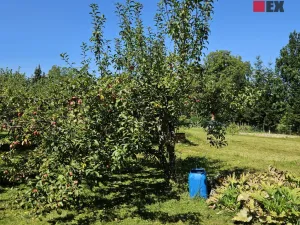 Pronájem zahrady, 1962 m2