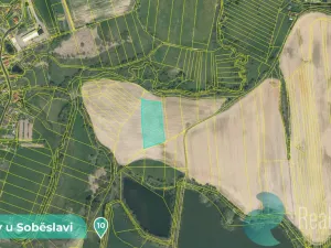 Prodej podílu 1/8 louky, Tučapy, 11561 m2