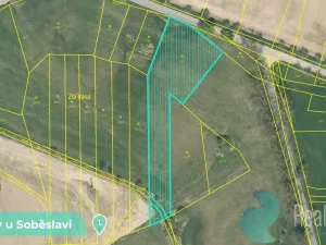 Prodej podílu 1/8 louky, Tučapy, 11561 m2