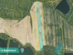 Prodej podílu 1/8 louky, Tučapy, 11561 m2