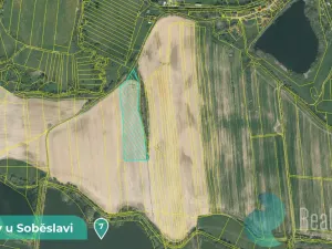 Prodej podílu 1/8 louky, Tučapy, 11561 m2