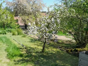 Pronájem zahrady, Běloky, 376 m2