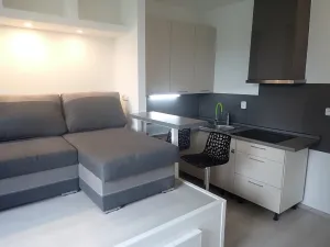 Pronájem bytu 1+kk, Liberec, Rychtářská, 19 m2