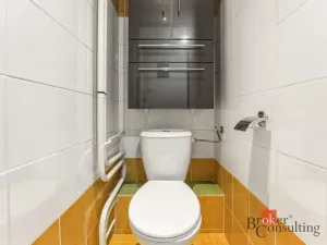 Prodej bytu 3+1, Hradec Králové - Pražské Předměstí, Gebauerova, 55 m2