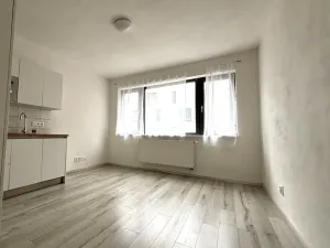 Pronájem bytu 1+kk, Plzeň - Východní Předměstí, Papírnická, 29 m2