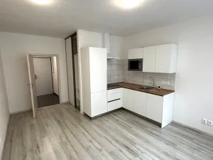 Pronájem bytu 1+kk, Plzeň - Východní Předměstí, Papírnická, 29 m2