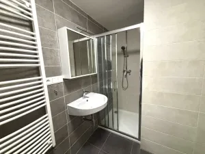 Pronájem bytu 1+kk, Plzeň - Východní Předměstí, Papírnická, 29 m2