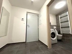 Pronájem bytu 1+kk, Plzeň - Východní Předměstí, Papírnická, 29 m2