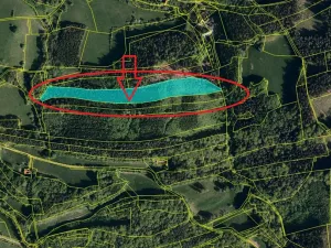 Prodej lesa, Lutonina, 18019 m2