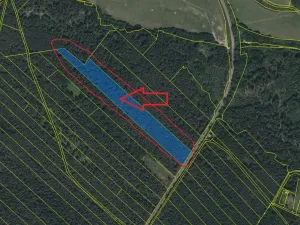 Prodej podílu lesa, Ledenice, 2894 m2