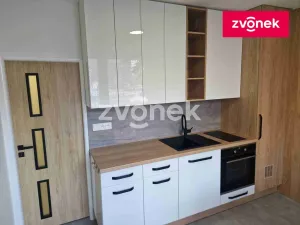 Pronájem bytu 1+1, Uherské Hradiště, 44 m2