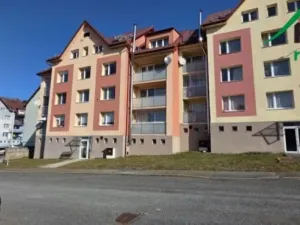 Pronájem bytu 1+1, Přimda, Nová, 42 m2