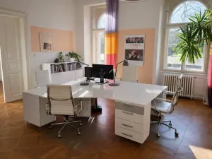 Pronájem kanceláře, Praha - Nové Město, Bolzanova, 80 m2