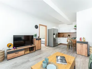 Pronájem bytu 2+kk, Praha, Plzeňská, 48 m2