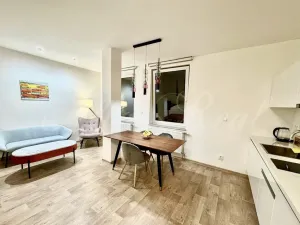 Pronájem bytu 1+kk, Brno - Brno-město, Kobližná, 50 m2