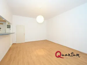 Pronájem bytu 1+kk, Praha - Nusle, Boleslavova, 30 m2