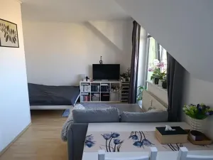 Pronájem bytu 1+kk, Nový Jičín, B. Martinů, 28 m2