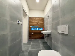 Pronájem bytu 1+kk, Olomouc, Stará Víska, 34 m2