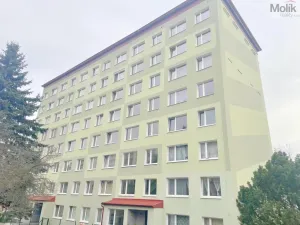 Prodej bytu 2+kk, Litvínov - Janov, Hamerská, 39 m2