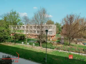 Pronájem bytu 1+1, Jihlava, Březinova, 33 m2