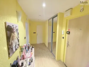 Prodej bytu 2+1, Most, tř. Budovatelů, 51 m2