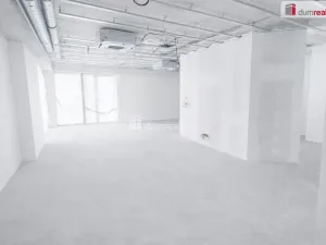 Pronájem obchodního prostoru, Praha, Štúrova, 132 m2