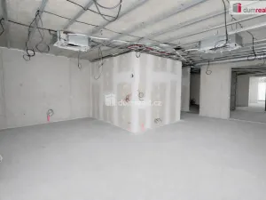 Pronájem obchodního prostoru, Praha, Štúrova, 132 m2