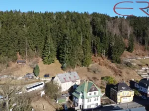 Prodej rodinného domu, Janov nad Nisou, 250 m2