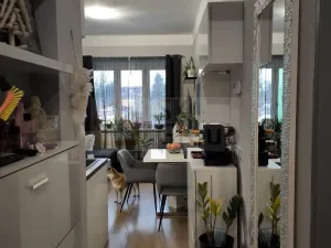 Prodej bytu 2+kk, Karlovy Vary - Rybáře, Čankovská, 46 m2