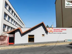 Pronájem obchodního prostoru, Cheb, Wolkerova, 267 m2