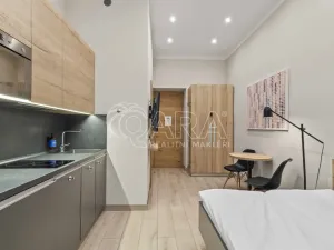 Prodej bytu 2+kk, Praha - Vinohrady, Mánesova, 45 m2