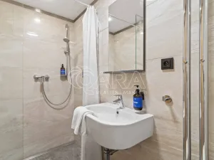 Prodej bytu 2+kk, Praha - Vinohrady, Mánesova, 45 m2