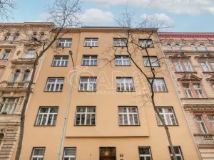 Prodej bytu 2+kk, Praha - Vinohrady, Mánesova, 45 m2