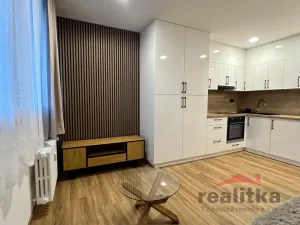 Prodej bytu 1+kk, Opava - Kateřinky, Grudova, 21 m2