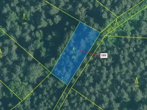 Dražba lesa, Kuřimany, 713 m2