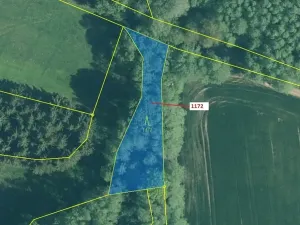 Dražba lesa, Kuřimany, 875 m2