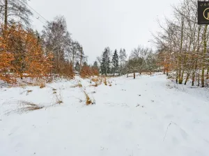 Prodej pozemku pro bydlení, Žandov - Radeč, 1706 m2