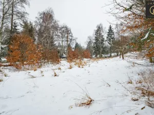 Prodej pozemku pro bydlení, Žandov - Radeč, 1706 m2