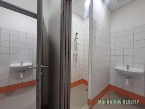 Pronájem výrobních prostor, Praha - Hostivař, K pérovně, 1100 m2