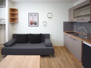 Pronájem bytu 1+kk, Úněšov, 20 m2