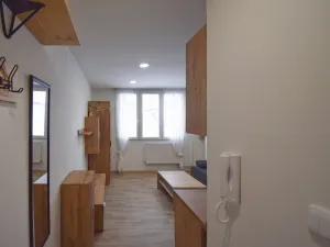 Pronájem bytu 1+kk, Úněšov, 20 m2