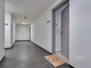Pronájem bytu 1+kk, Praha - Hloubětín, Domalípova, 32 m2