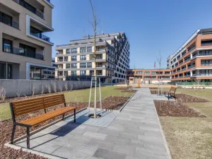 Pronájem bytu 1+kk, Praha - Hloubětín, Domalípova, 32 m2