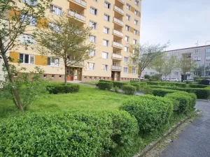 Pronájem bytu 1+1, Třemošná, Budovatelská, 40 m2