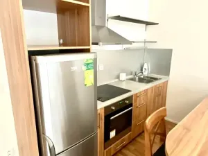 Pronájem bytu 1+kk, Brno, Přadlácká, 31 m2